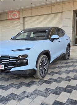 جيتور داشينج